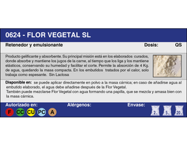 FLOR VEGETAL S/L (5 Kg.)